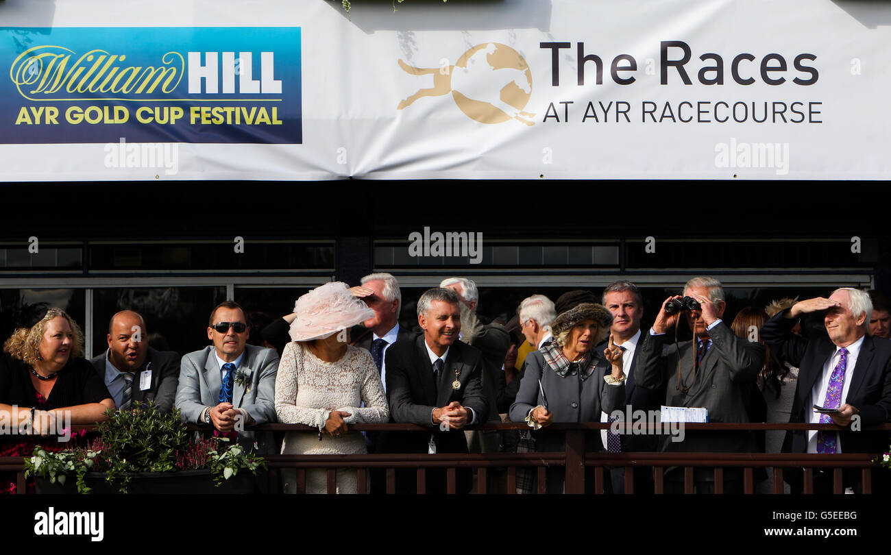 Horse Racing - William Hill Ayr Gold Cup - Giorno delle donne Foto Stock