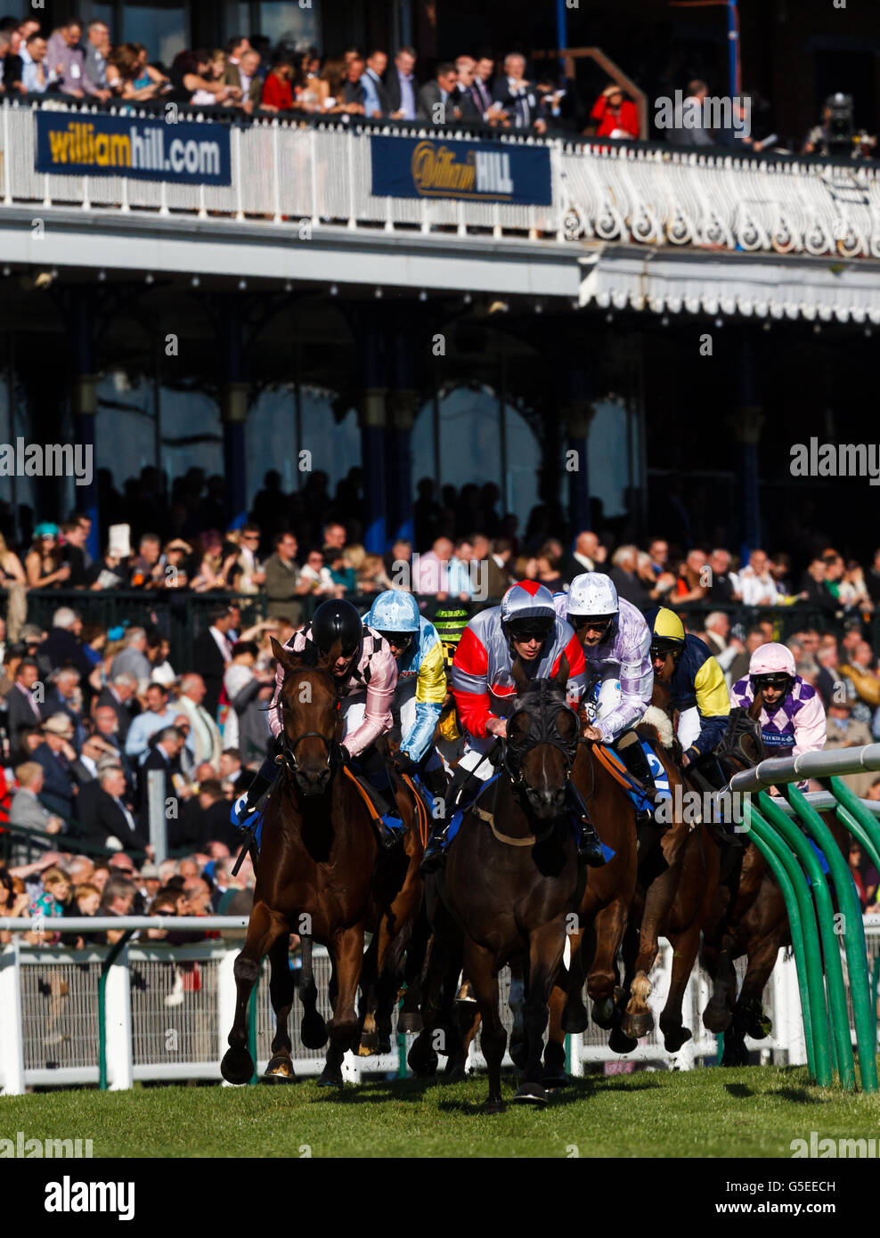 Pokfulham (sete rosse e grigie) guidato da Barry McHugh guida il campo intorno alla curva nelle fasi iniziali della Dumfries House handicap picchetti Foto Stock