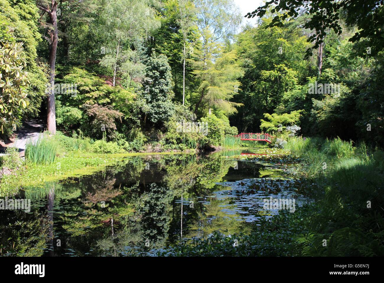 Portmeirion villaggio nel Galles del Nord Foto Stock