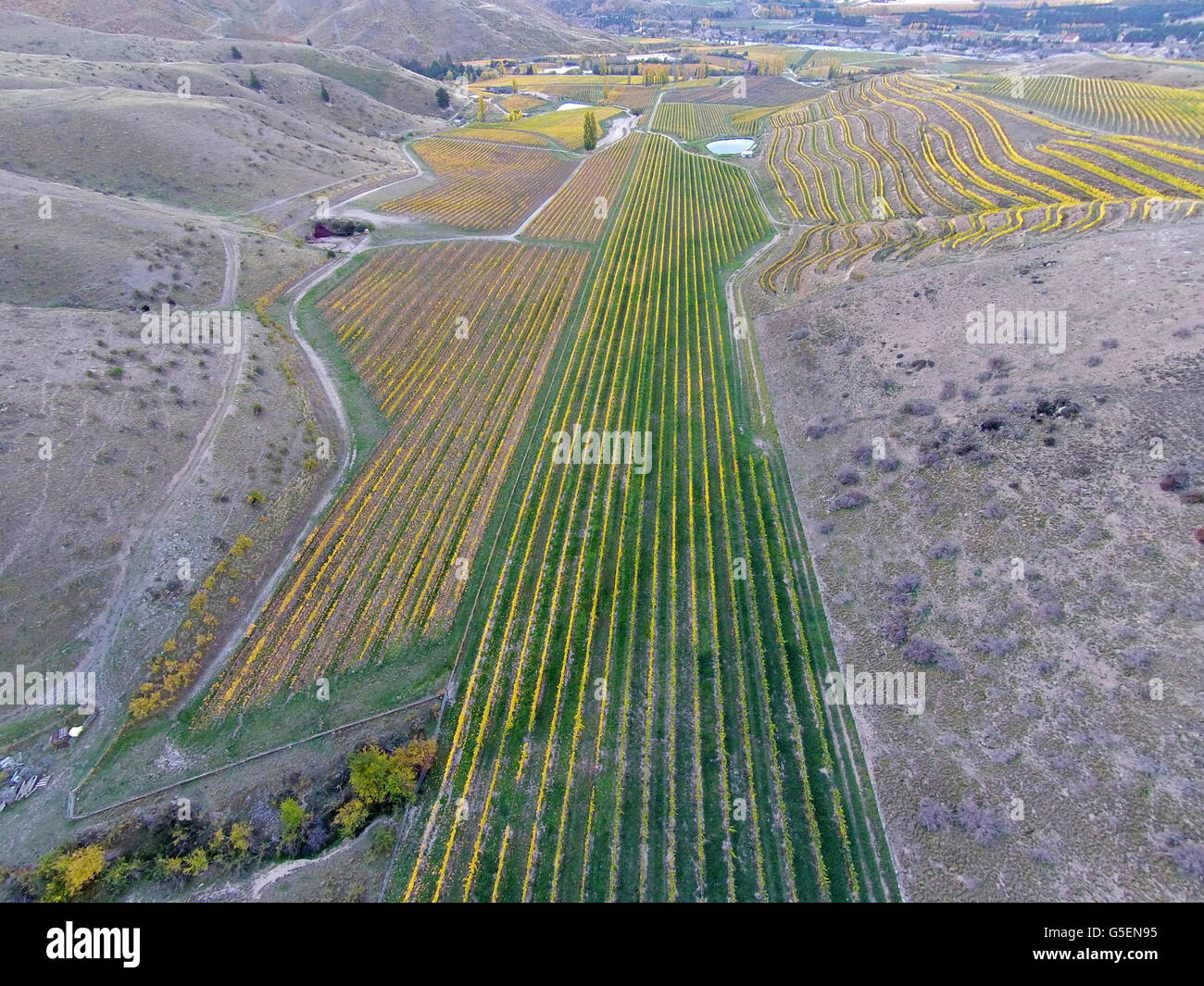 Felton Road vigneto, Bannockburn di Central Otago, South Island, in Nuova Zelanda - antenna fuco Foto Stock