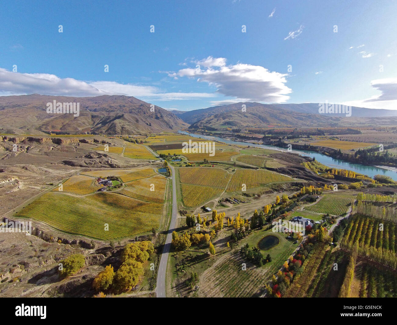 Vigneti, Felton Road, Bannockburn e braccio di Kawarau, Lake Dunstan, vicino a Cromwell di Central Otago, South Island, in Nuova Zelanda - dr Foto Stock