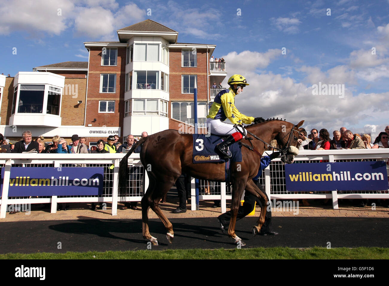 Corse di cavalli - William Hill Ayr Gold Cup - Festa delle Signore. Rimedio osteopatico cavalcato da jockey Connor Nichol nell'anello di parata prima del William Hill che sostiene Dumfries House Ayrshire handicap Foto Stock