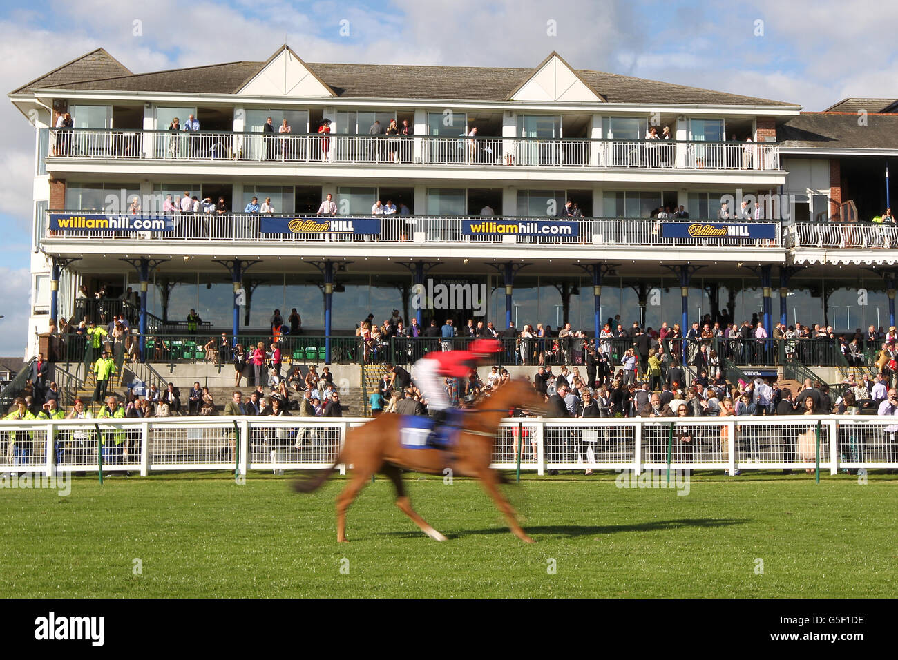 Horse Racing - William Hill Ayr Gold Cup - Giorno delle donne Foto Stock