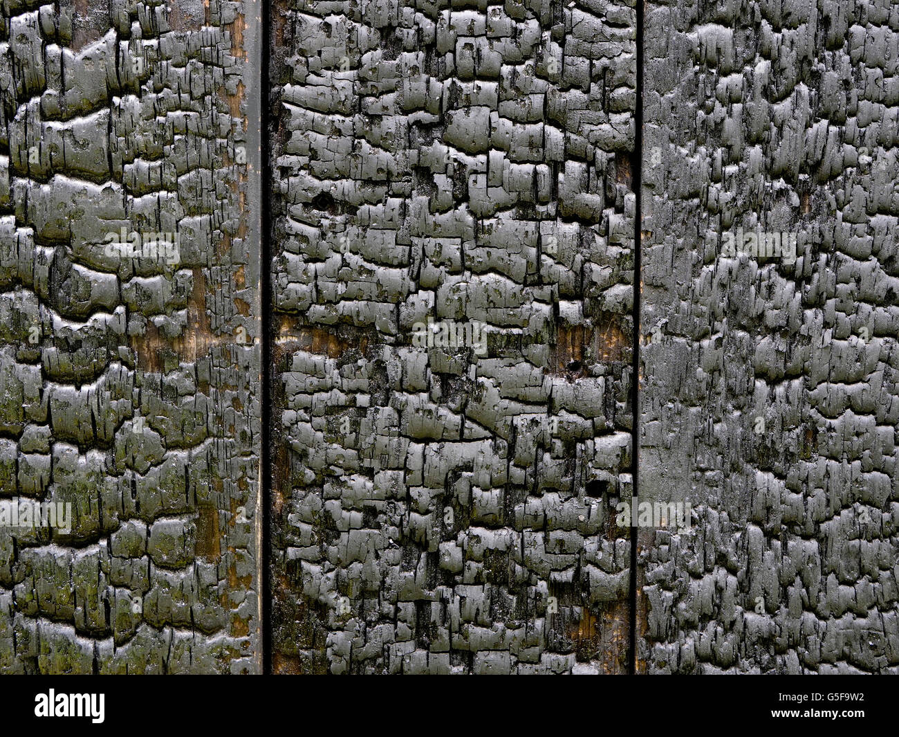 Carbonizzati rivestimenti in legno su un edificio del giardino. Il legno carbonizzato fornisce una finitura protettiva e non richiede la verniciatura. Foto Stock