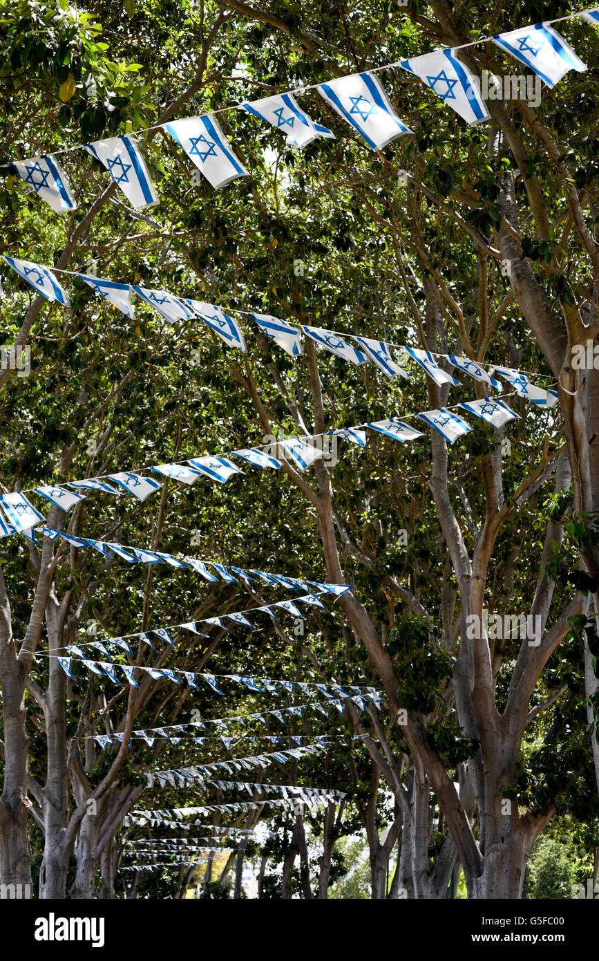 Bandiere israeliane strung fino in alberi per Giorno Di Indipendenza Foto Stock