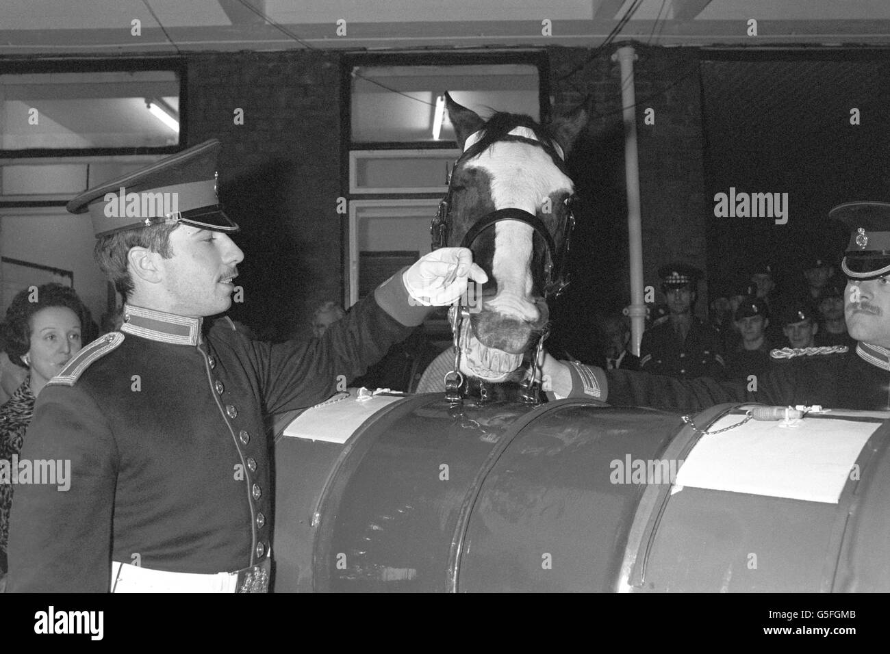 Trooper Michael Pedersen e 'Sefton', il cavallo Blues and Royals che stava cavalcando durante il bombardamento di Hyde Park nel 1982, fanno un'apparizione al mercatino di Natale SSAFA (The Soldiers' and Sailors' Families Association) a Chelsea Barracks a Londra. Foto Stock