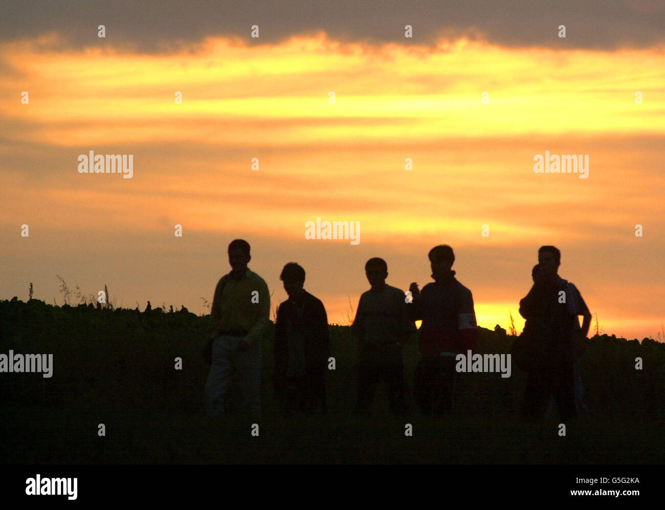 Un gruppo di giovani cammina sulla strada fuori dal campo profughi della Croce Rossa a Sangatte, Francia. Questa sera un flusso costante di persone ha lasciato il campo, la maggior parte dei quali si pensa stia cercando di ottenere l'ingresso illegale in Gran Bretagna attraverso l'Eurotunnel. Foto Stock