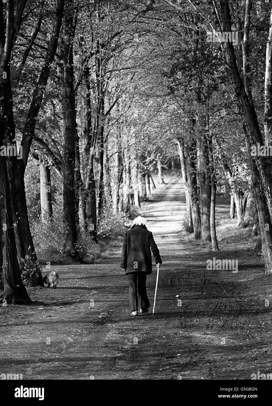 Michael Foot Hamstead Heath Foto Stock