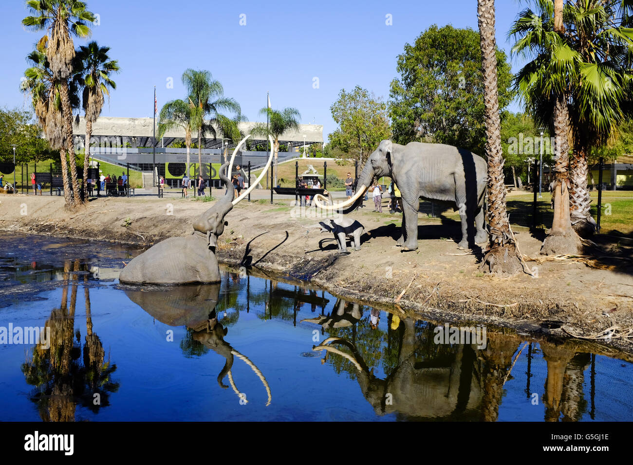 La Brea Tar Pit di Los Angeles Mammoth età antica storia. Foto Stock