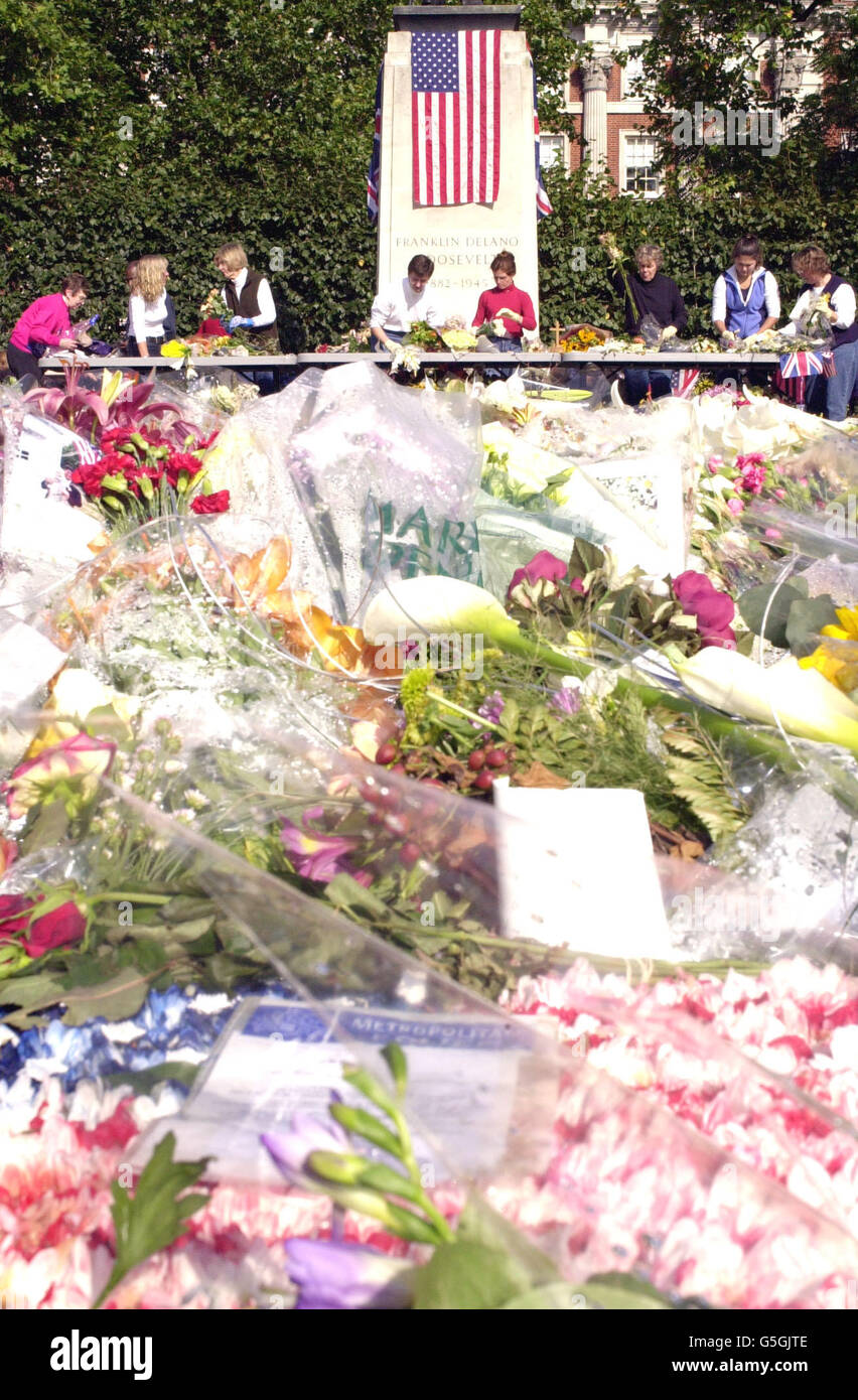 I volontari iniziano a ripulire le molte migliaia di fiori e carte che i lutto hanno lasciato durante le ultime due settimane intorno al memoriale Franklin Roosevelt a Grovestor Square, nel centro di Londra. * UN team di oltre trenta collaboratori, molti dei quali americani, si è rivelato d'aiuto. Tutte le carte e i regali che sono stati messi nella piazza di fronte all'ambasciata americana a Londra in memoria delle vittime degli attacchi al World Trade Center di New York e al Pentagono di Washington D.C. negli Stati Uniti, Verrà archiviato e inviato in America. Foto Stock