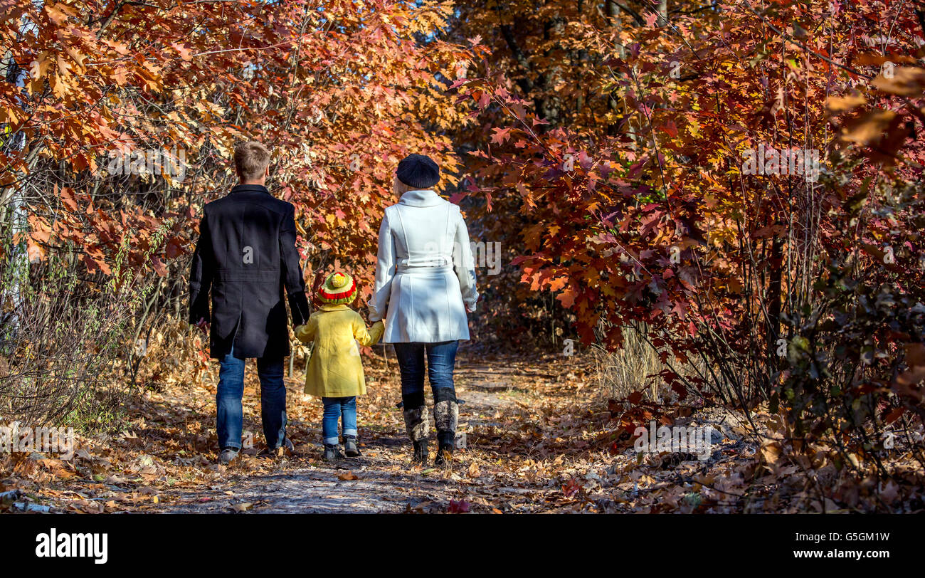 Due generazioni la famiglia passeggiate nella foresta autunnale vista posteriore Foto Stock
