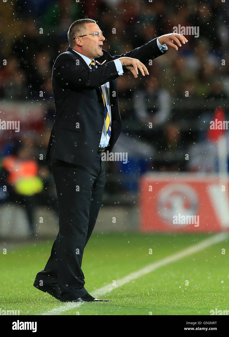 Calcio - Coppa del Mondo 2014 Qualifiche - GRUPPO A - Galles v Scozia - Cardiff City Stadium Foto Stock