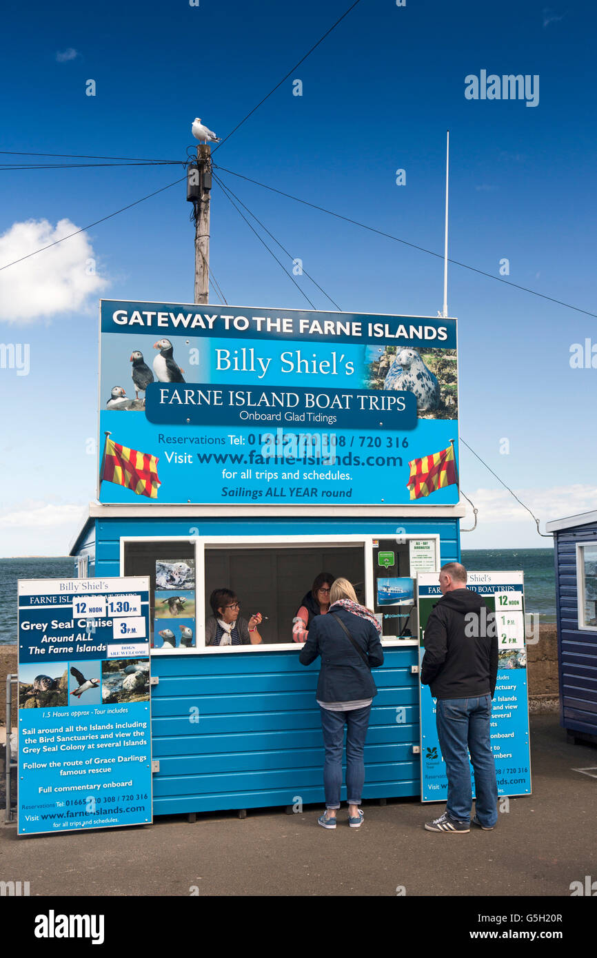 Regno Unito Inghilterra Northumberland, Seahouses Harbour, i clienti a Billy Shiel's farne isole, viaggio in barca booth Foto Stock