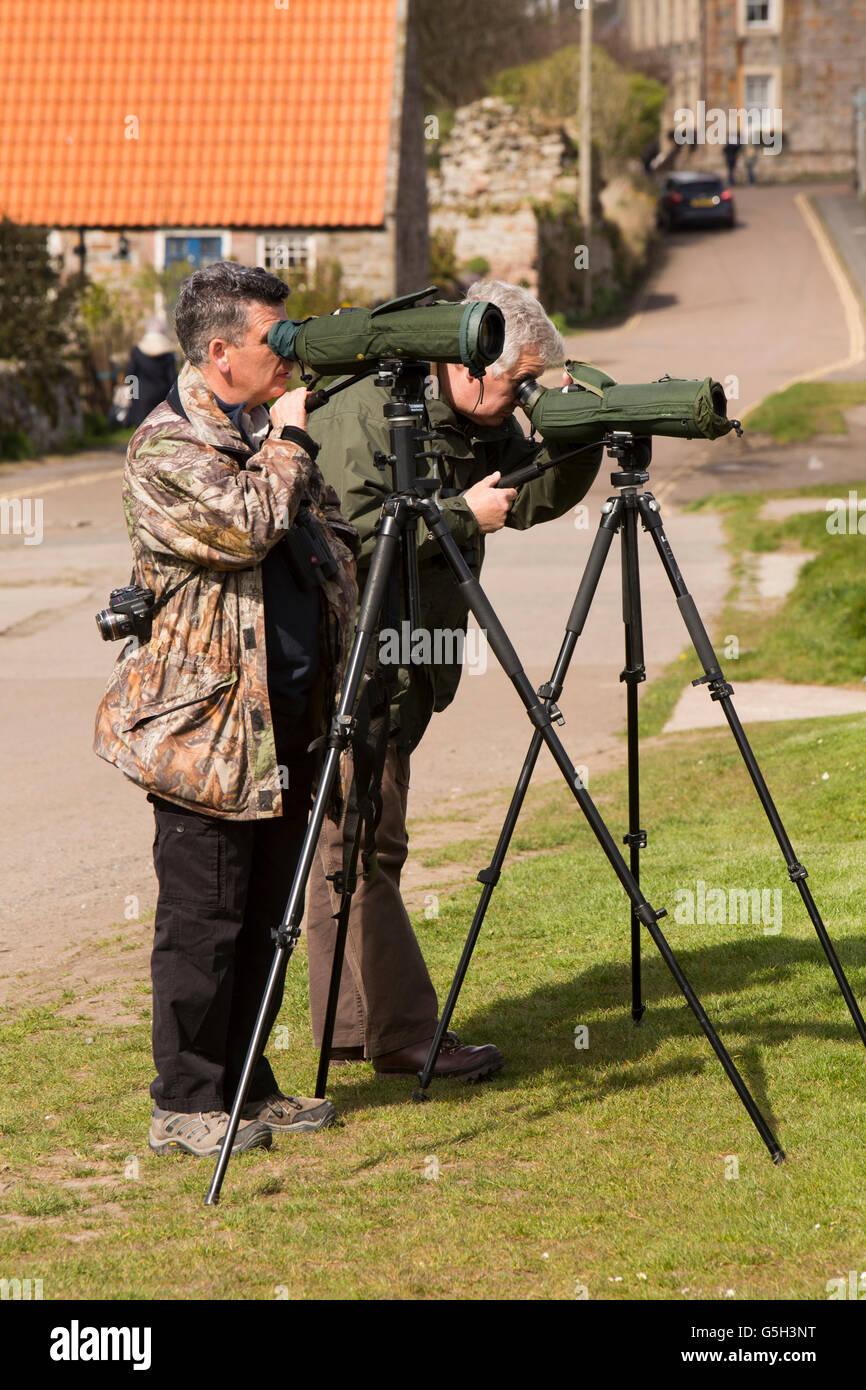 Regno Unito Inghilterra Northumberland, Isola Santa Lindisfarne bird watchers osservando gli uccelli attraverso telescopi Foto Stock