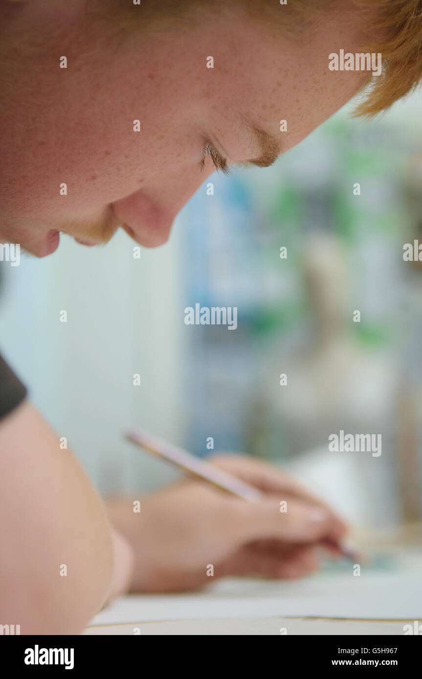 Teenage schoolboy studiando. In Inghilterra. Regno Unito Foto Stock