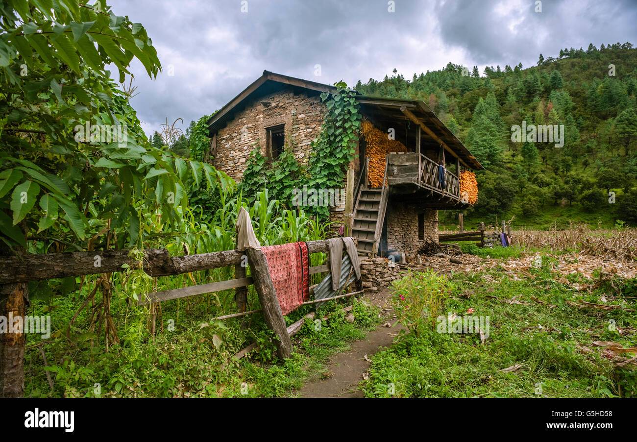 Abbandonato casa di pietra successivo diluvio ora utilizzato per memorizzare e mais di essiccazione su cob nel villaggio di Sangti. Foto Stock