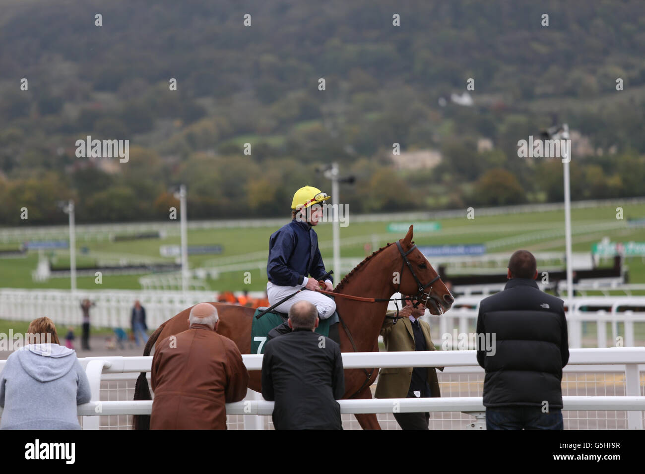 Corse ippiche - Cheltenham. Jockey Jimmy McCarthy prima del Pertemps Network handicap ostacoli su Ogee Foto Stock