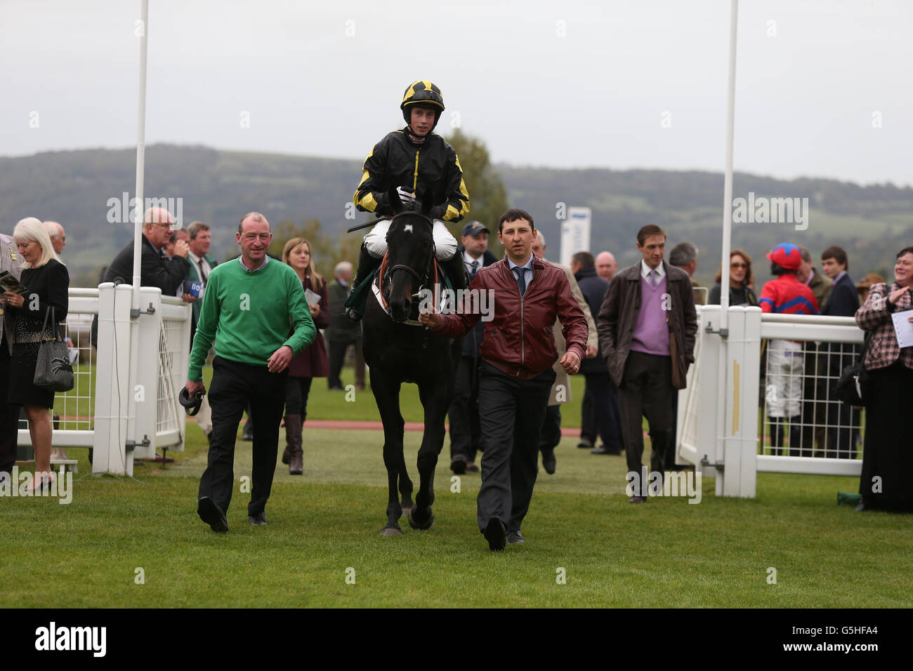 Action Master guidato da Bryan J Cooper dopo i Pertemps Ostacolo agli handicap della rete Foto Stock