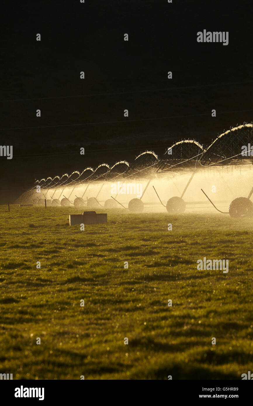 Il centro di rotazione di irrigazione, vicino a Twizel, Mackenzie District, Canterbury sud, Isola del Sud, Nuova Zelanda Foto Stock
