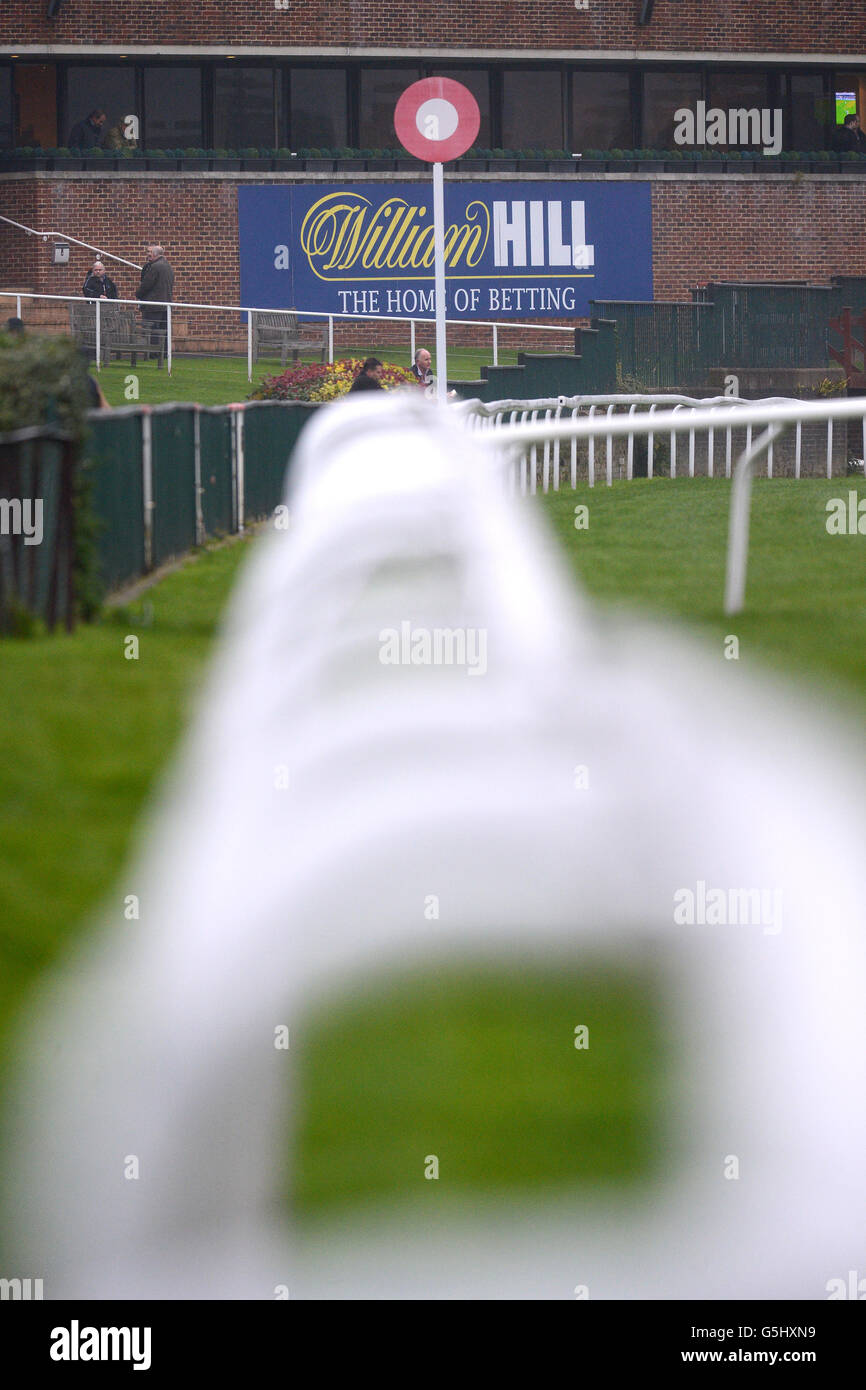 Horse Racing - William Hill Jump Domenica - Ippodromo di Kempton Foto Stock