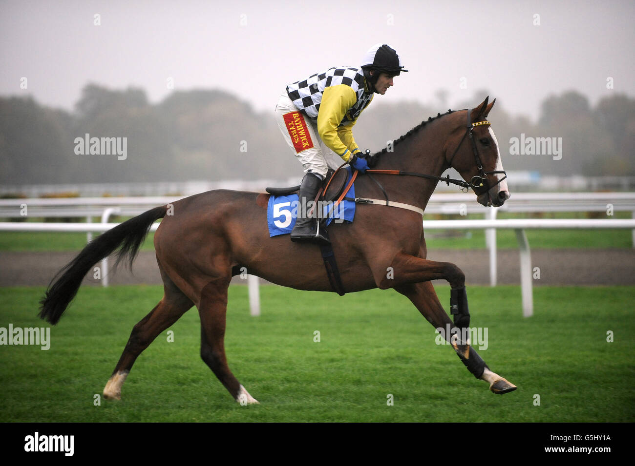 Horse Racing - William Hill Jump Domenica - Ippodromo di Kempton Foto Stock