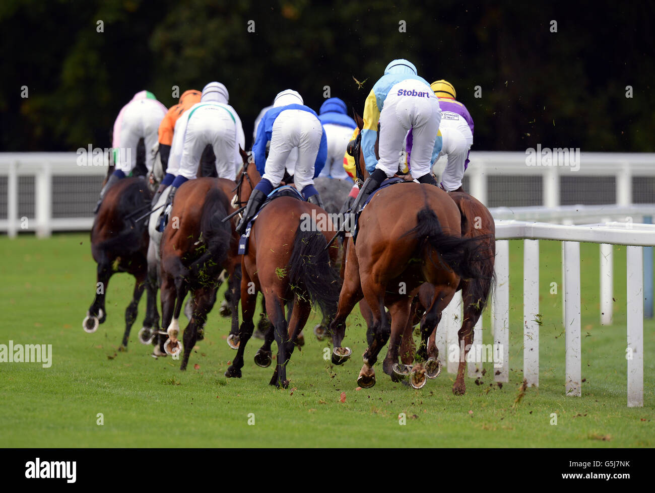 Horse Racing - QIPCO British Champions giorno - Ascot Racecourse Foto Stock