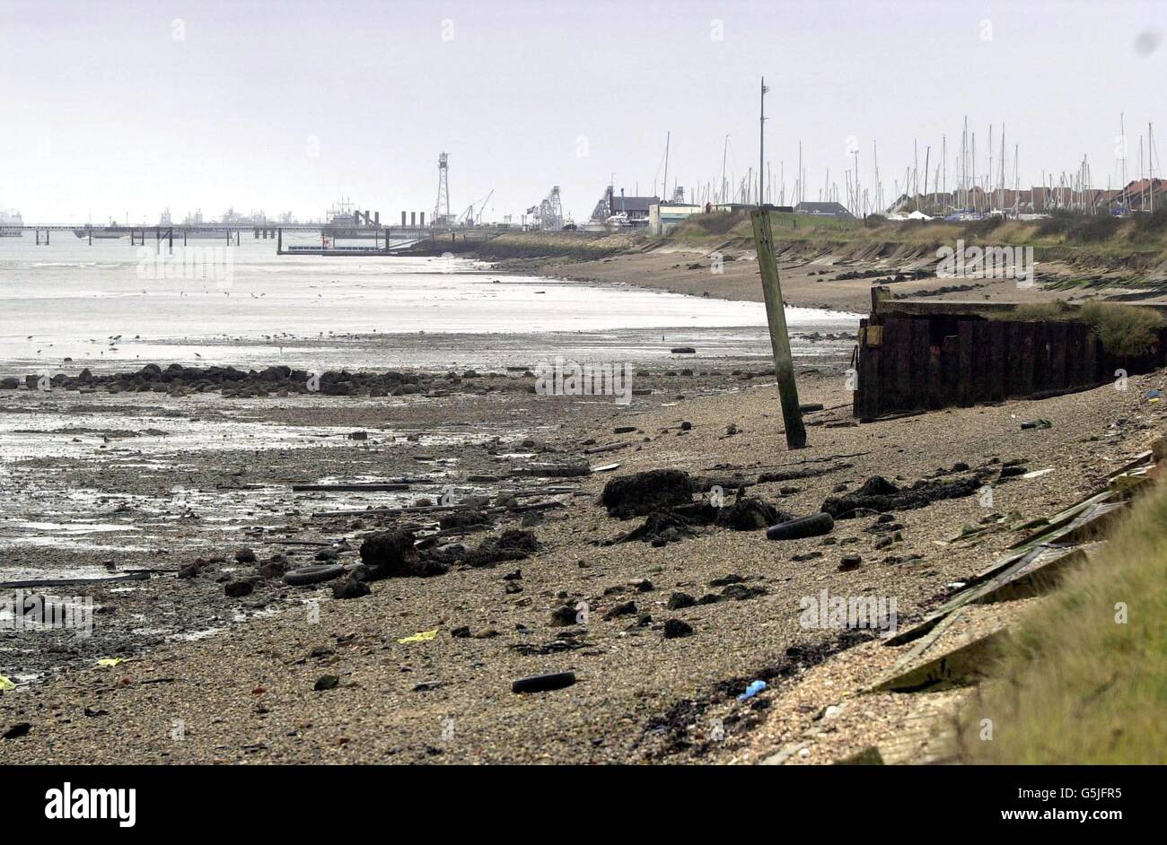 Dibden Bay sulle acque di Southampton, vicino alla New Forest. Un'indagine pubblica aperta oggi a Hythe, vicino a Southampton, sulla costruzione di un porto a Dibden Bay, come dicono gli attivisti della natura, potrebbe causare la perdita di preziosi habitat naturali. L'inchiesta dovrebbe durare un anno. *16/04/02: Dibden Bay sulle acque di Southampton, vicino alla New Forest, il sito di un progetto proposto di costruire un grande porto sulla costa meridionale, che i gruppi di lobby verdi dicono danneggeranno i siti di importanza internazionale della fauna selvatica. I direttori dei porti britannici associati (ABP) si troveranno ad affrontare domande difficili da parte dei loro azionisti - Foto Stock