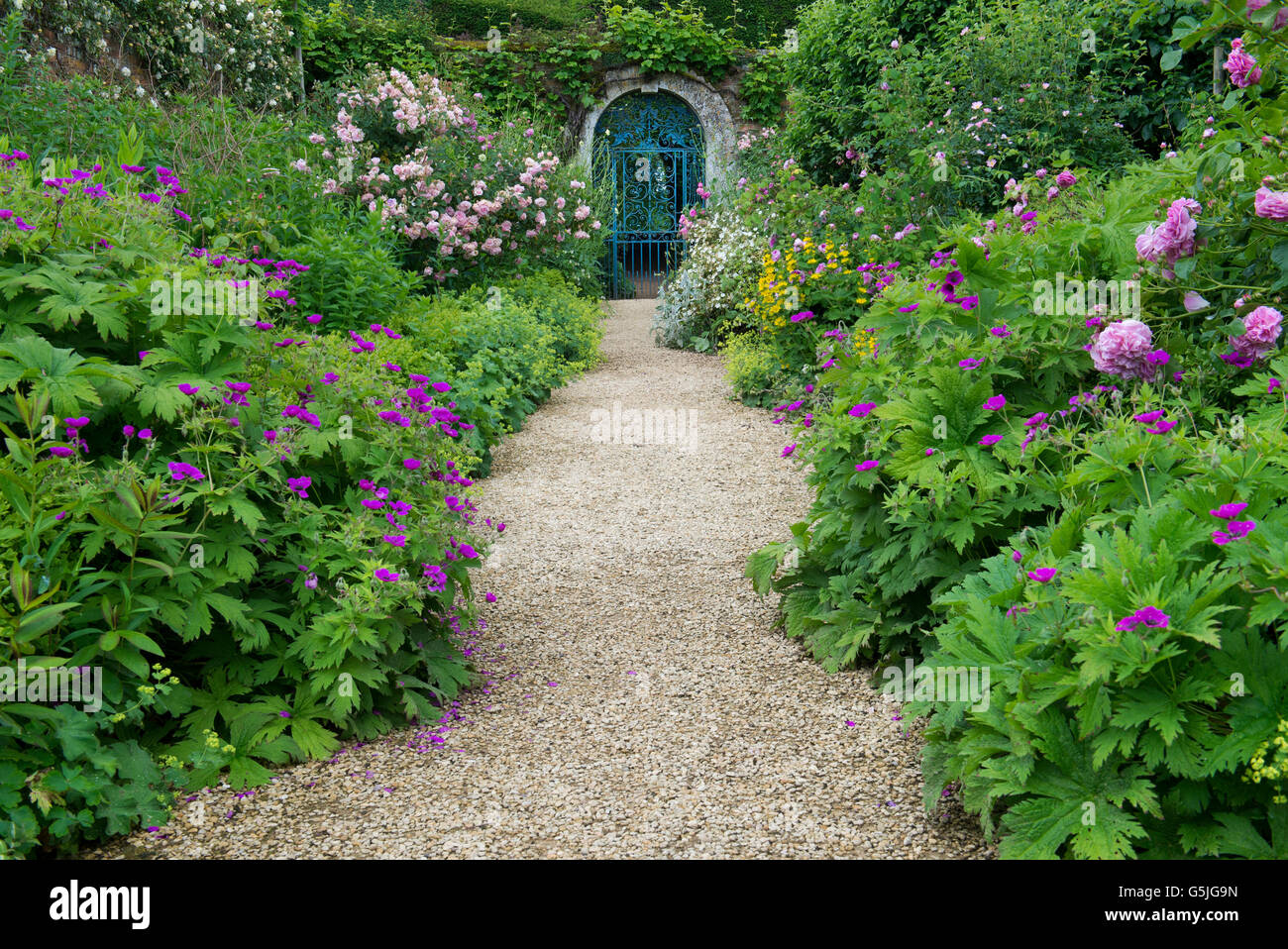 Walled Garden blue cancellata in ferro battuto a Rousham Casa e giardino. Oxfordshire, Inghilterra Foto Stock