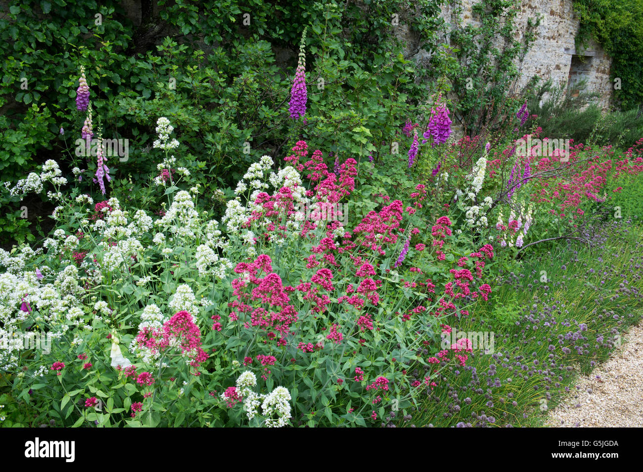 Orto giardino di fiori al confine Rousham House Gardens. Oxfordshire, Inghilterra Foto Stock