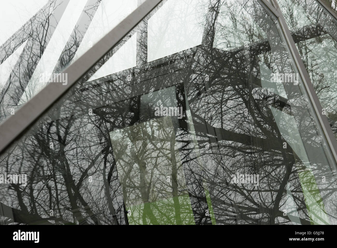 La riflessione di alberi in metallo e struttura in vetro in posizione di parcheggio Foto Stock