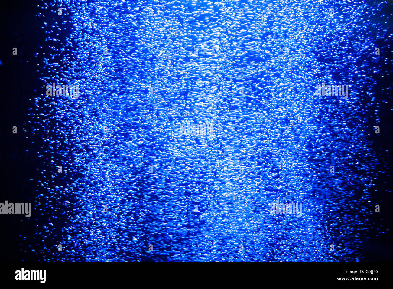 Macro delle bolle di ossigeno in acqua su uno sfondo blu Foto Stock
