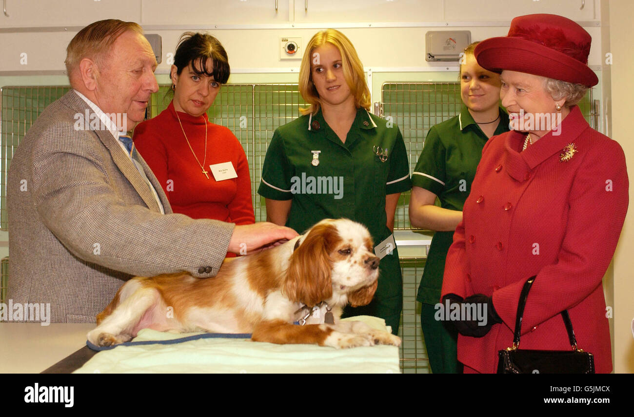 La Regina Elisabetta II della Gran Bretagna parla con Norman Ball con il suo re Cavalier Charles Spaniel, Toby, all'ospedale animale della Croce Blu di Londra Victoria, che ha ufficialmente riaperto, dopo la sua ricostruzione sul suo sito precedente. Foto Stock