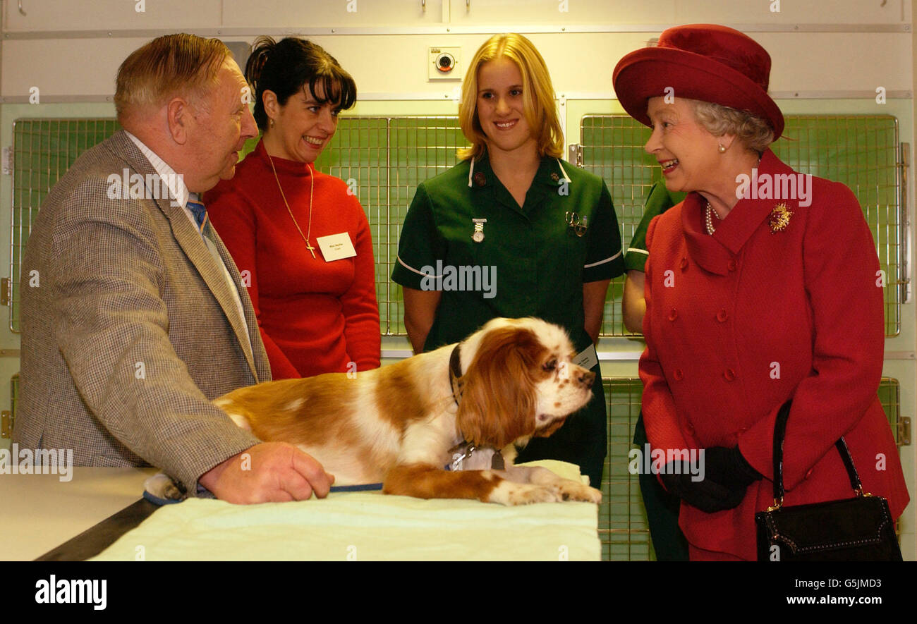 La Regina Elisabetta II della Gran Bretagna parla con Norman Ball con il suo re Cavalier Charles Spaniel, Toby, all'ospedale animale della Croce Blu di Londra Victoria, che ha ufficialmente riaperto, dopo la sua ricostruzione sul suo sito precedente. Foto Stock
