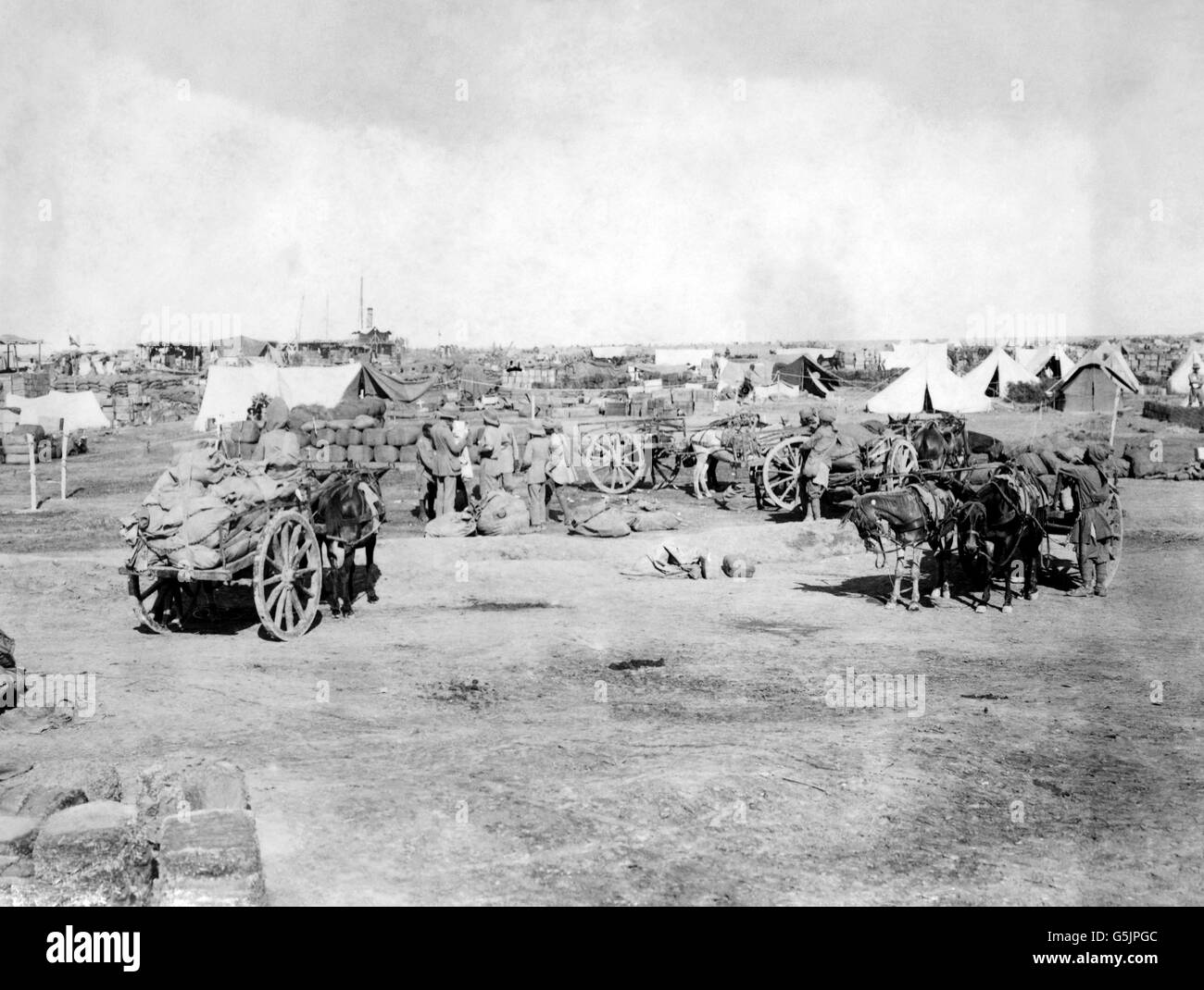 Truppe britanniche e indiane con un trasporto Mule in prima linea in Mesopotamia. Foto Stock