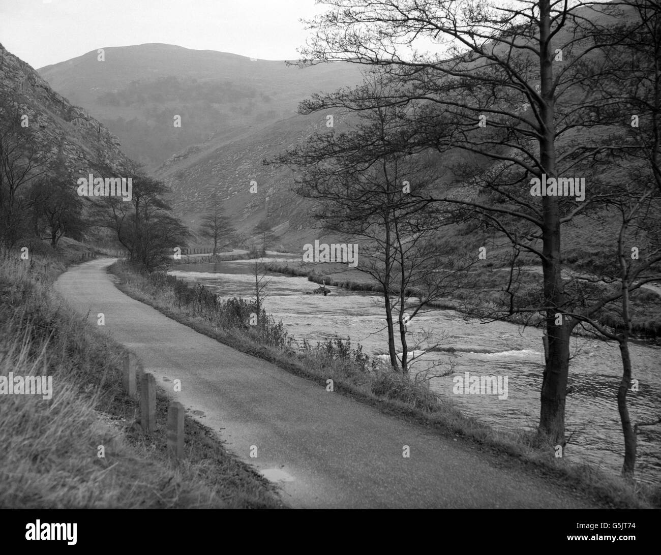 Il fiume dove scorre attraverso la valle del Dovedale, con un popolare sentiero che segue la riva del fiume. Il fiume costituisce il confine tra il Derbyshire e lo Staffordshire. Foto Stock