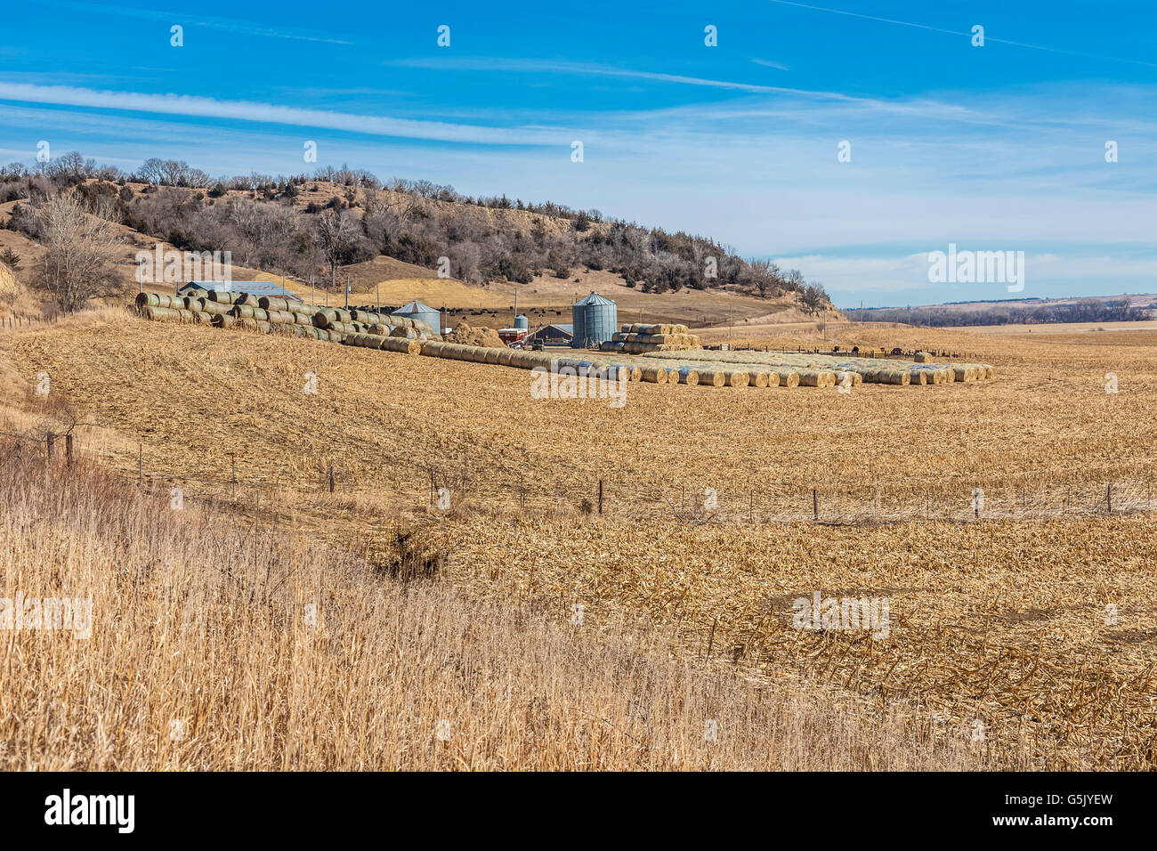 I rotoli di fieno memorizzato in una fattoria in rural western Iowa Foto Stock