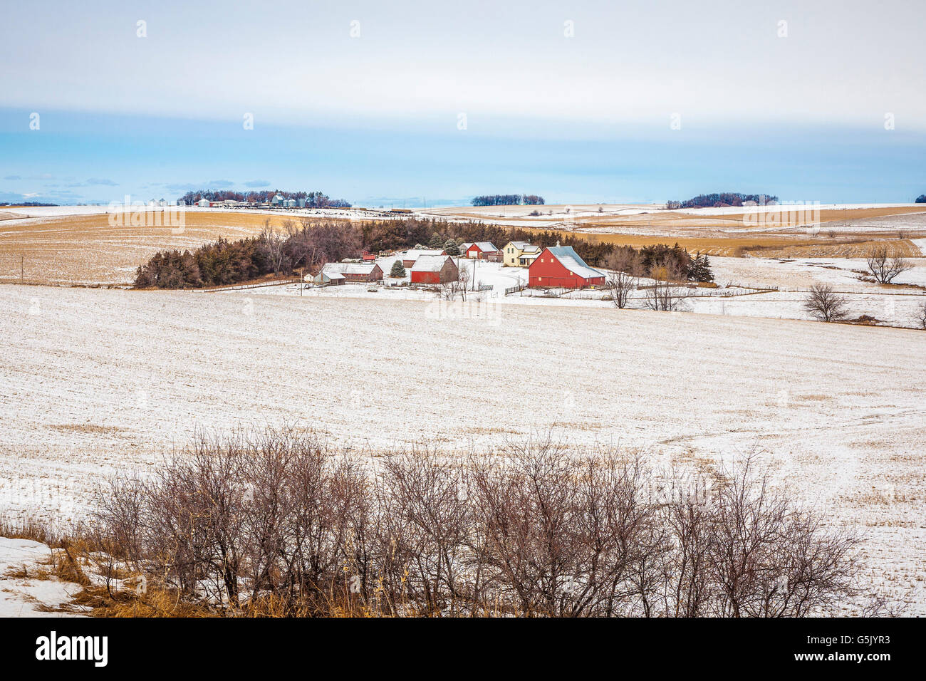 Agriturismo con diversi fienili circondato da campi di grano nelle zone rurali del nord est del Nebraska Foto Stock