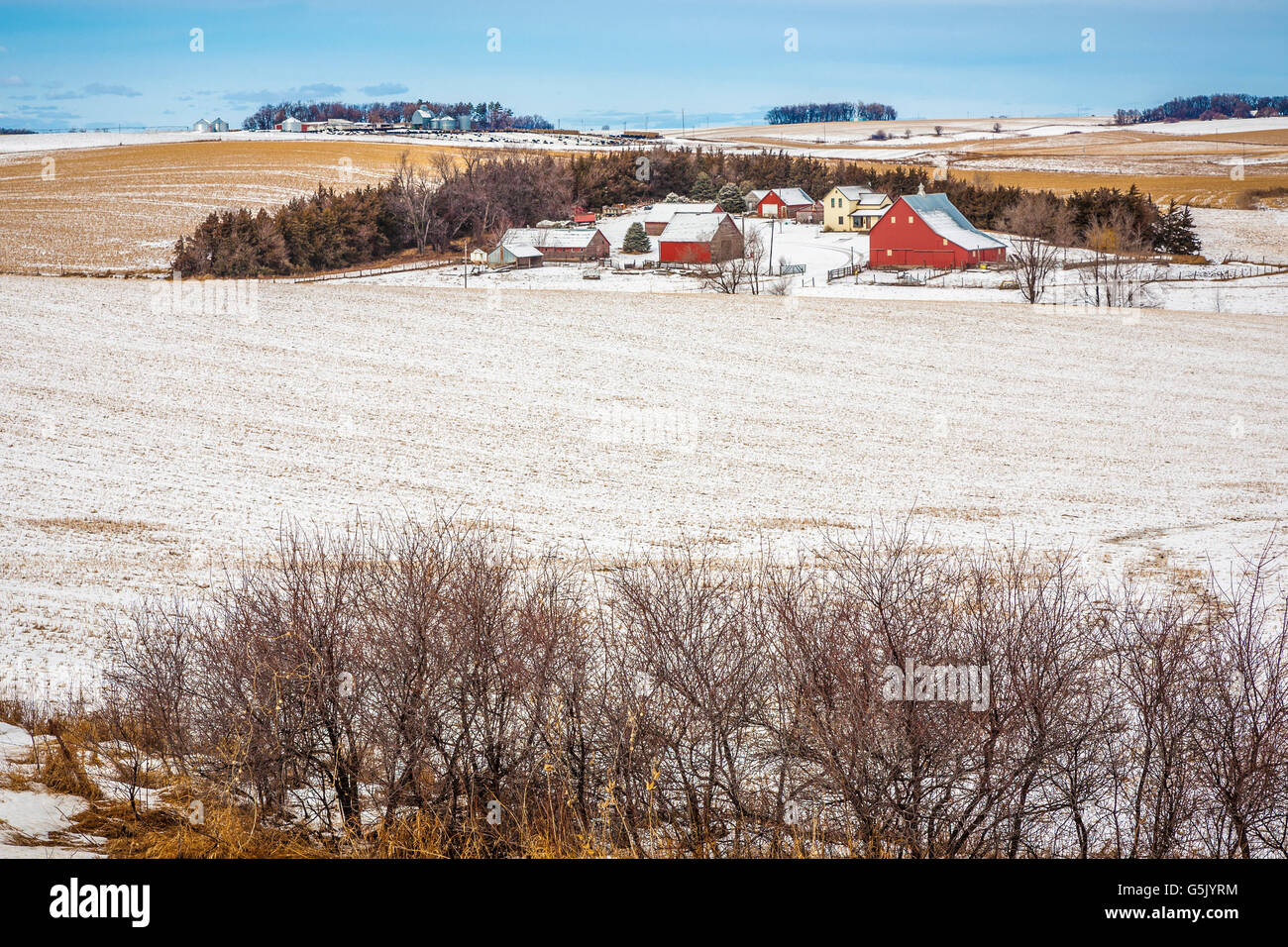Agriturismo con diversi fienili circondato da campi di grano nelle zone rurali del nord est del Nebraska Foto Stock