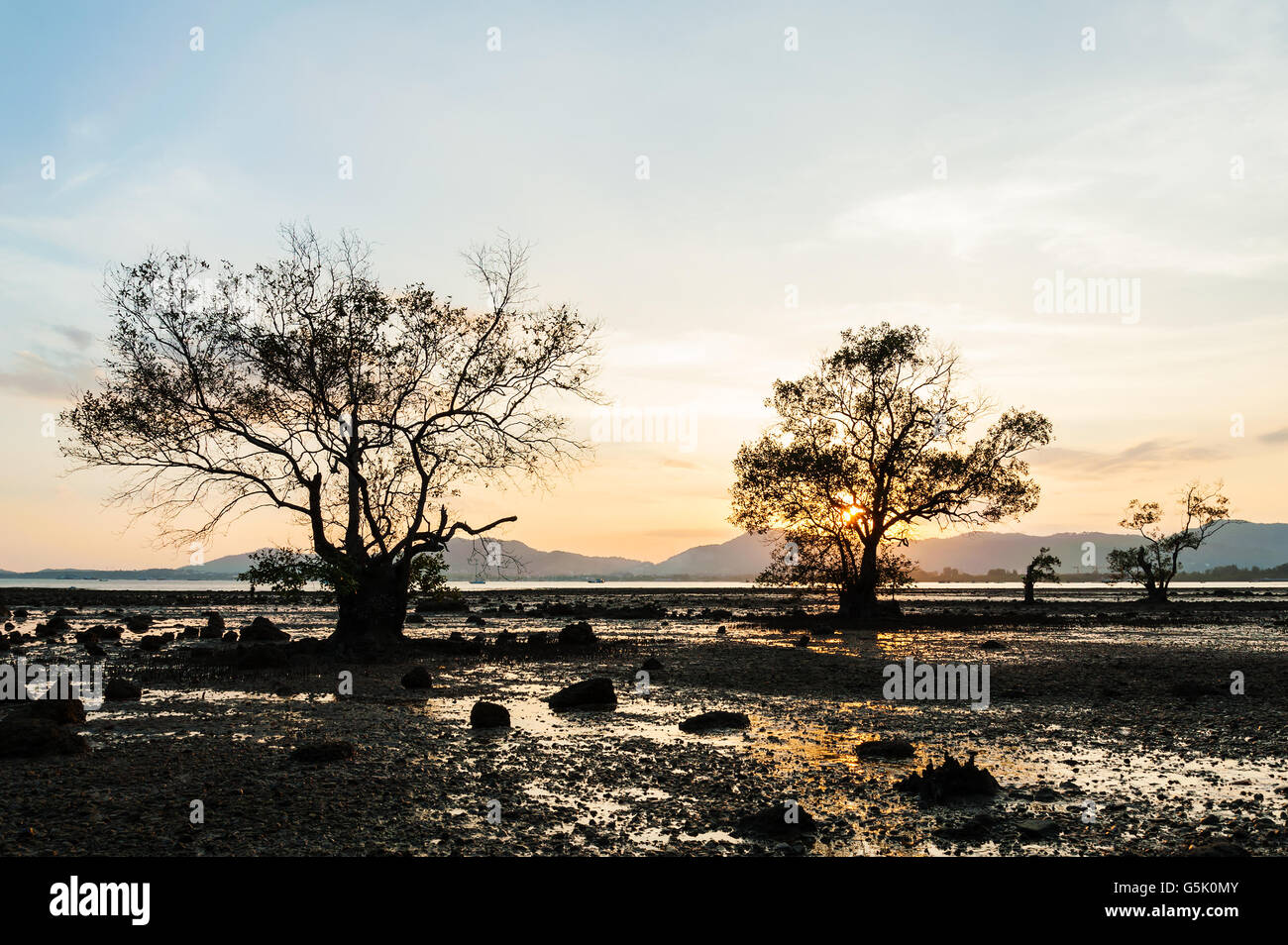 Seascape con i colori del tramonto in Twilight, spiaggia tramonto con twilight, Silhouette ramo di albero con i colori del tramonto, Spiaggia Foto Stock