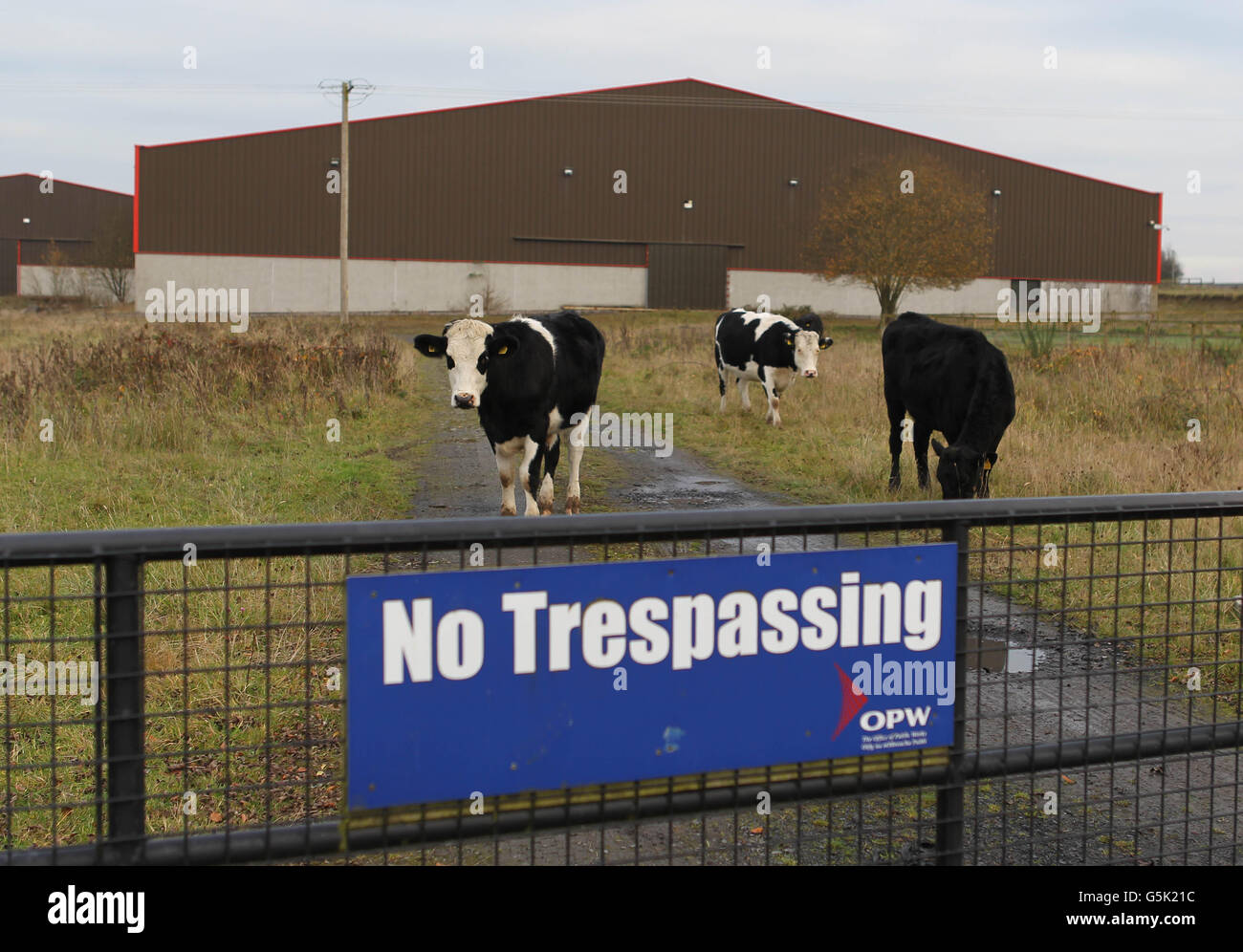 Una visione generale del Centro equestre di Jessbrook, di proprietà del trafficante di droga condannato John Gilliganand, sarà venduta dal Criminal Assets Bureau 16 anni dopo il suo primo sequestro. Foto Stock