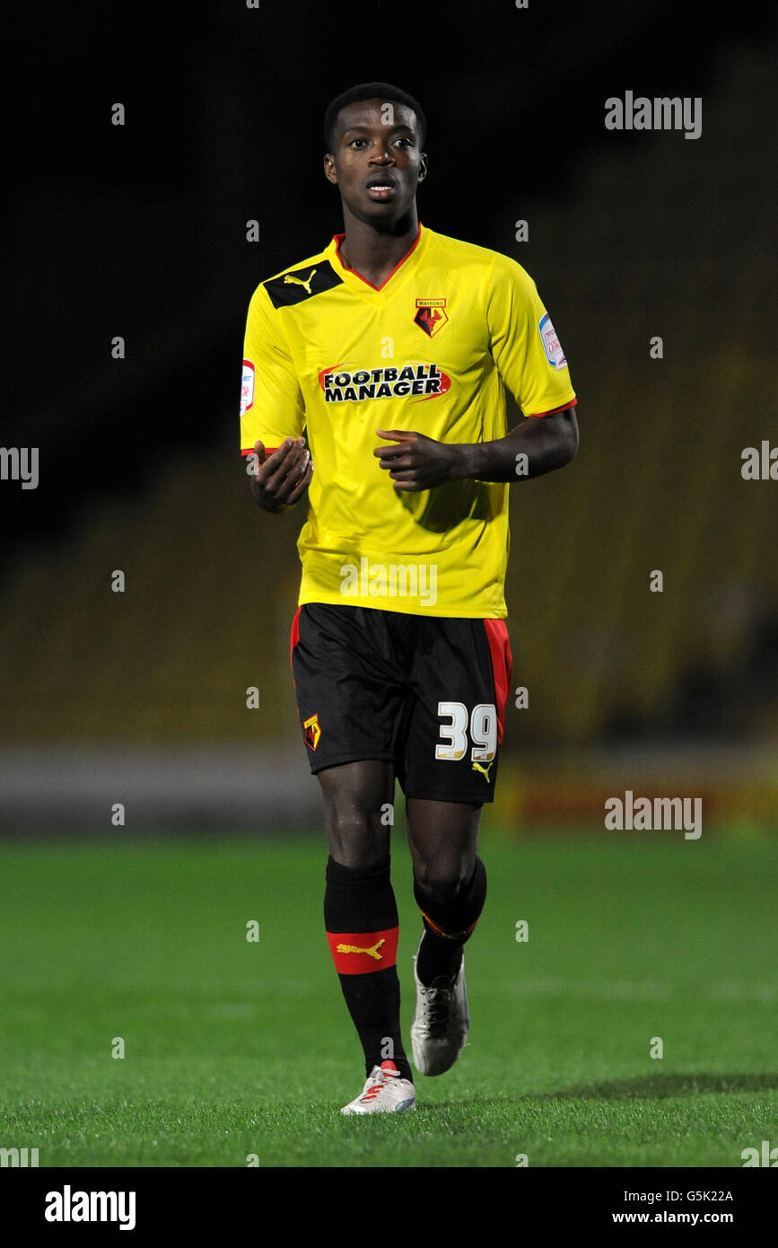 Calcio - Npower Football League Championship - Watford v Brighton & Hove Albion - Vicarage Road. Nathaniel Chalobah, Watford Foto Stock