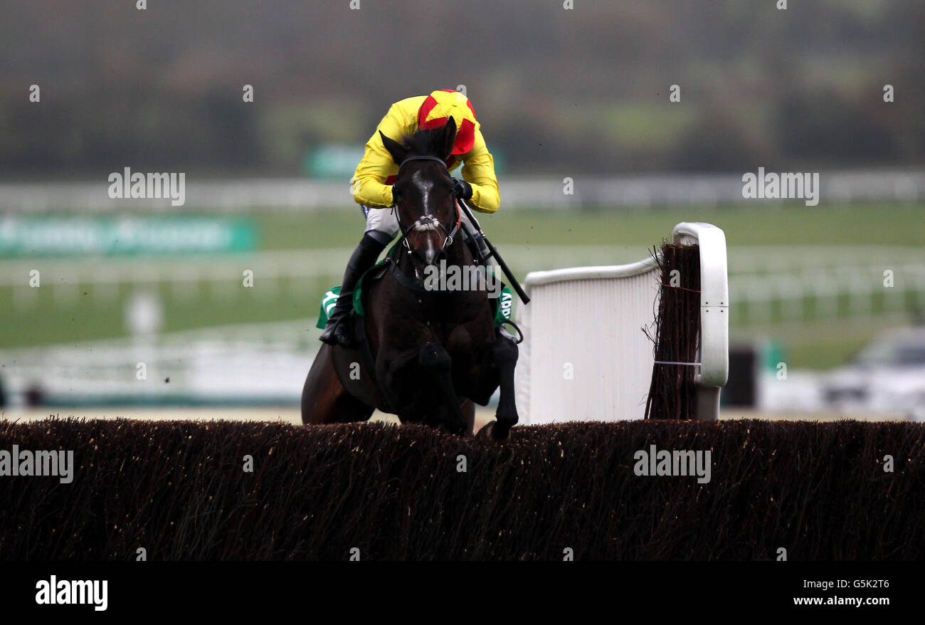 Shooters Wood guidato da Ruby Walsh salta l'ultimo sulla strada per vincere il paddypower.com handicap steeple inseguimento durante il giorno di campagna a Cheltenham Racecourse, Cheltenham. Foto Stock