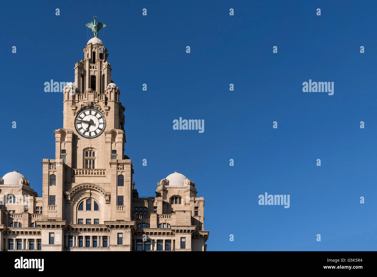 Liverpool Merseyside North West England. Il Royal Liver Building contro un cielo blu. Pierhead Foto Stock