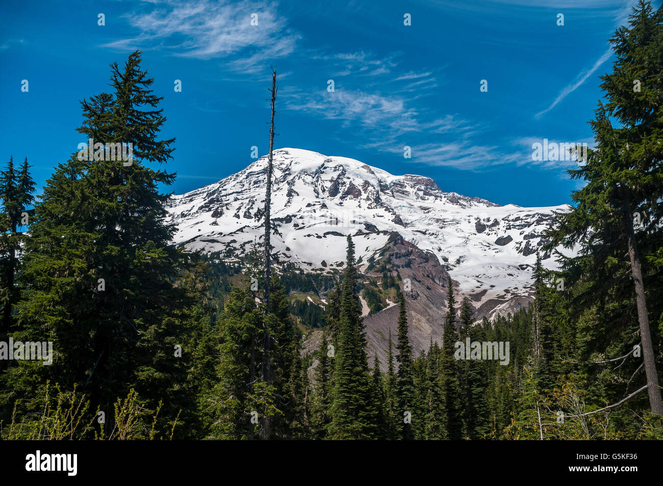 Mount Rainier che mostra il tanto si abbassarono Nisqually ghiacciaio che è la testa del Fiume Nisqually. Foto Stock