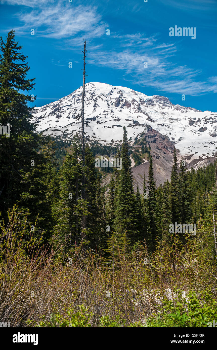 Mount Rainier che mostra il tanto si abbassarono Nisqually ghiacciaio che è la testa del Fiume Nisqually. Foto Stock