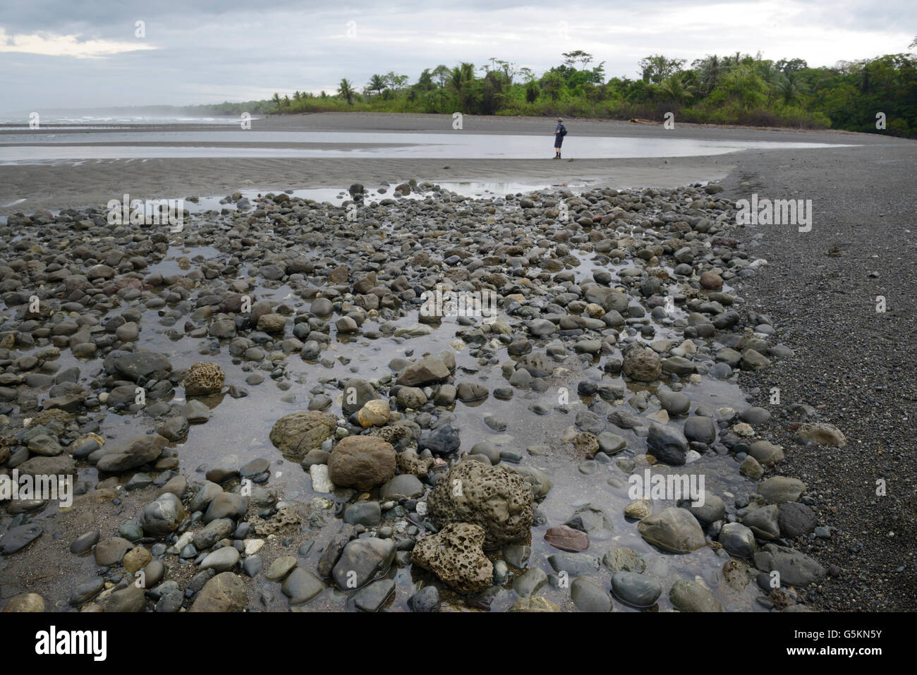 Appartata spiaggia di sabbia nera, Parco Nazionale di Corcovado, Costa Rica Foto Stock