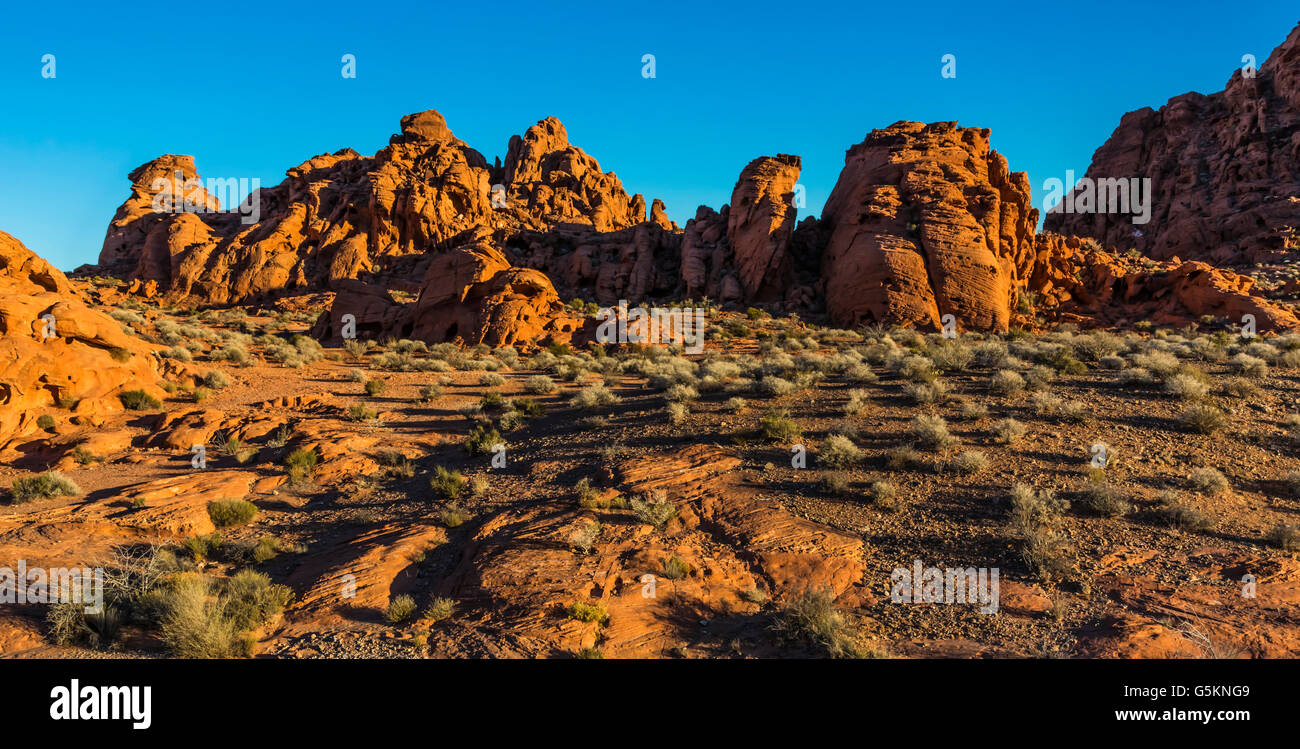 Red rock formazione paesaggio della valle del fuoco, nv Foto Stock