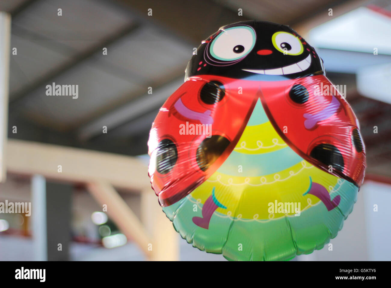 Fotografia di un cartoon palloncino coccinella Foto Stock