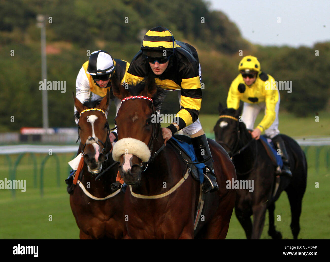 Corse di cavalli - Ippodromo di Nottingham. Art Scholar guidato da Tom Queally vince il BDN Construction handicap Stakes a Nottingham Racecourse, Nottingham. Foto Stock