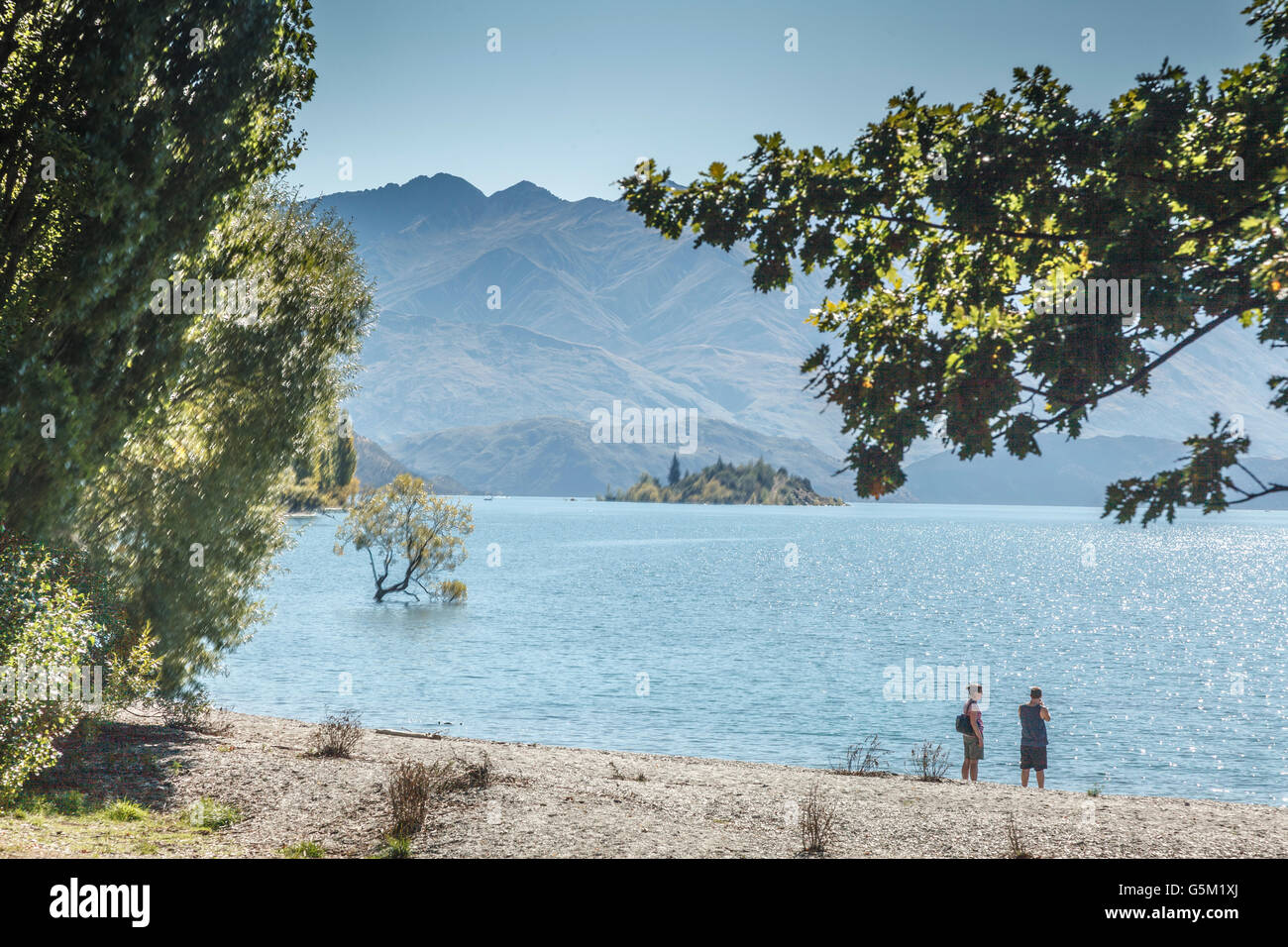 Più fotografato albero nel mondo e la coppia a piedi sulla spiaggia a lato lago,Roys Bay,Wanaka,Otago,Isola del Sud,Nuova Zelanda Foto Stock